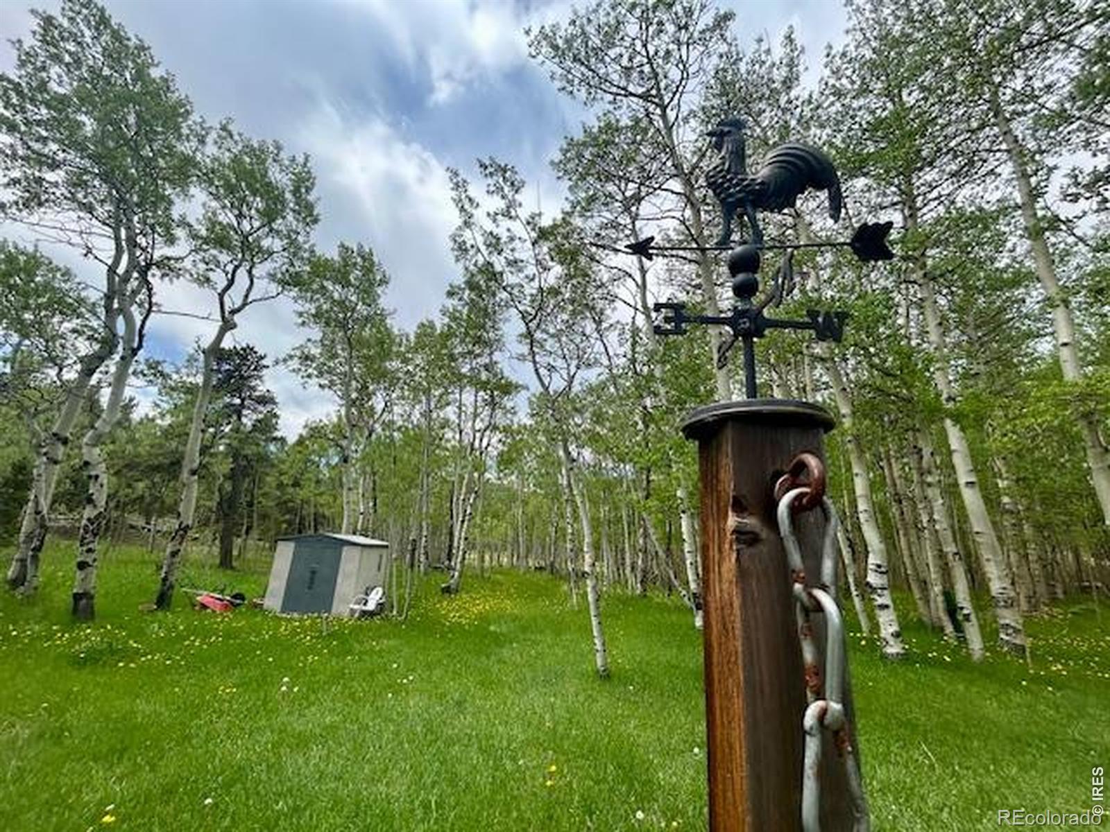 MLS Image #39 for 1746  lump gulch road,black hawk, Colorado