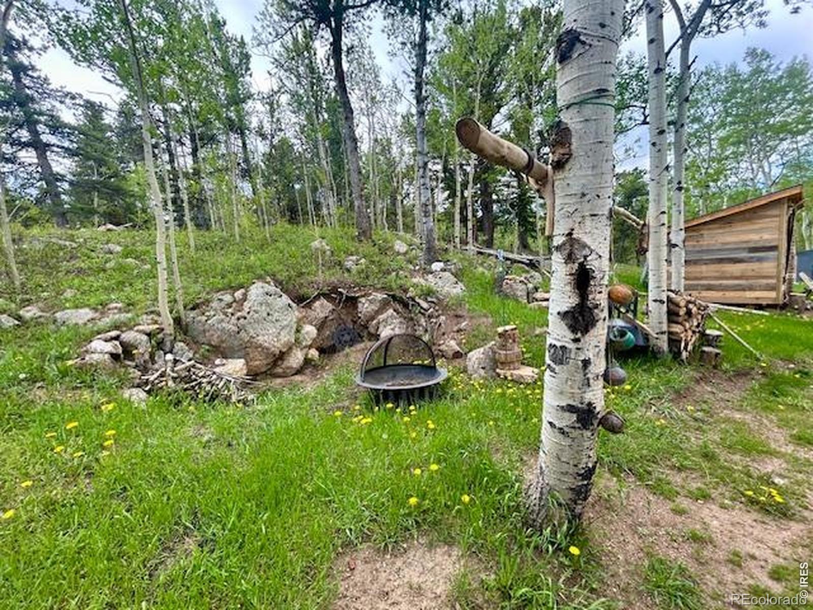 MLS Image #9 for 1746  lump gulch road,black hawk, Colorado