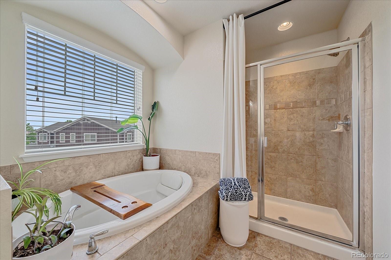 MLS Image #18 for 23831  eagle bend lane,parker, Colorado