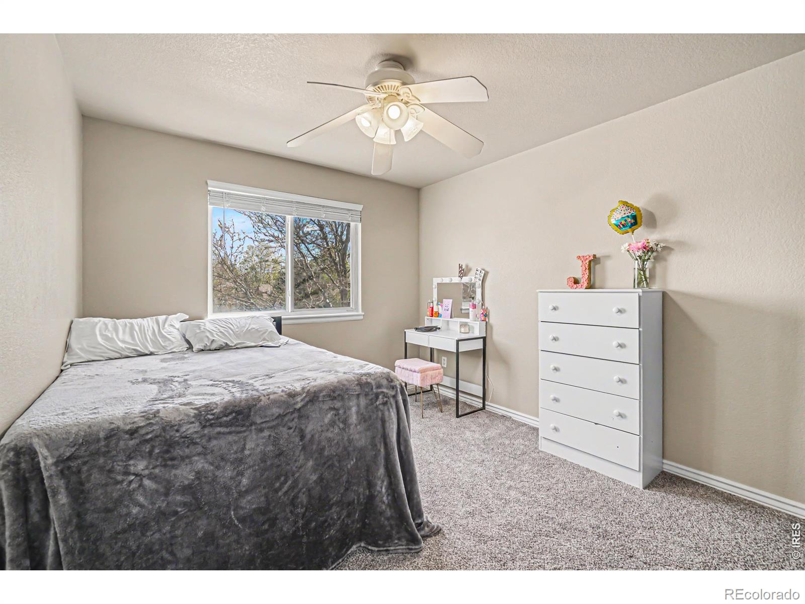 MLS Image #14 for 442  laurel avenue,eaton, Colorado