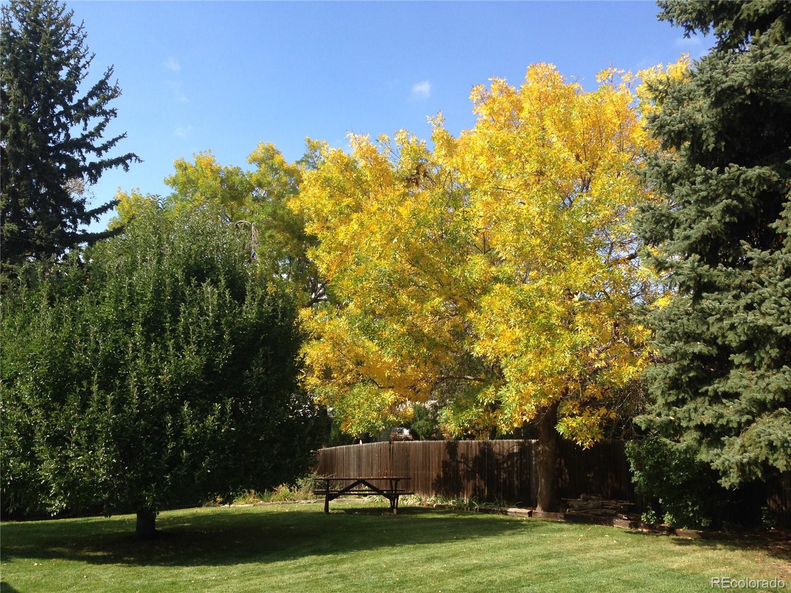 MLS Image #35 for 7539  pierce street,arvada, Colorado