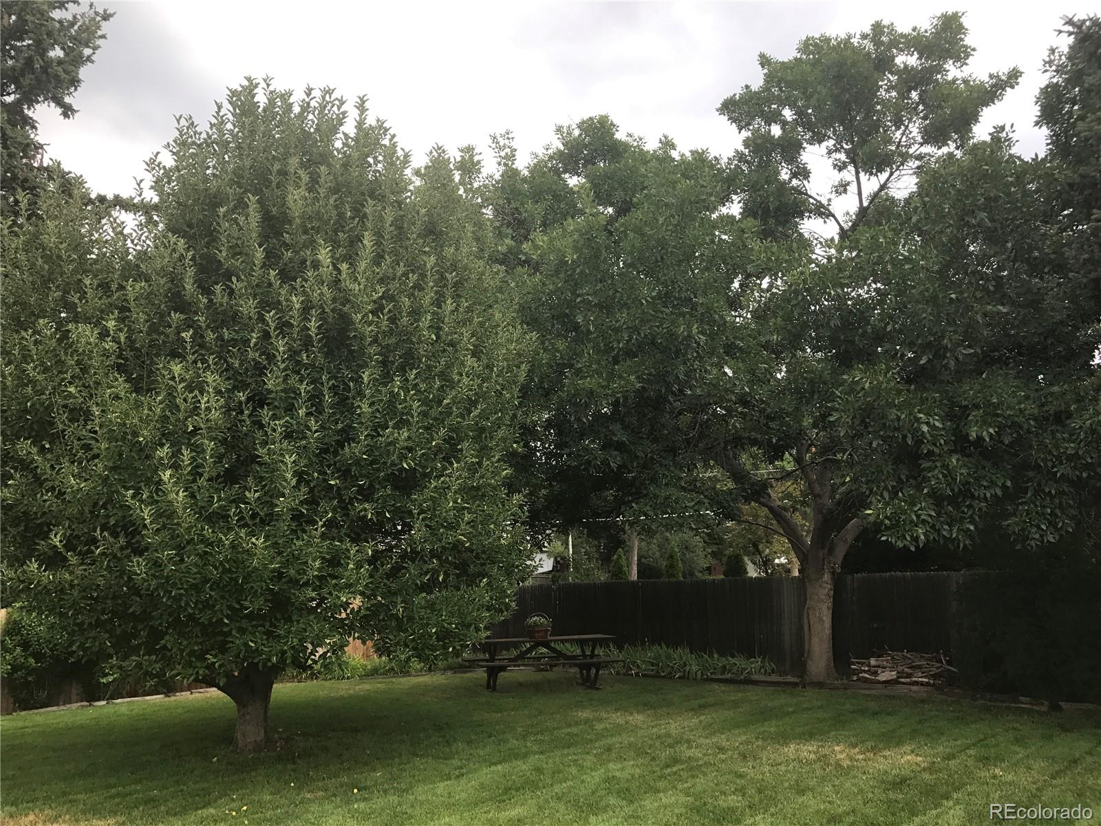 MLS Image #37 for 7539  pierce street,arvada, Colorado