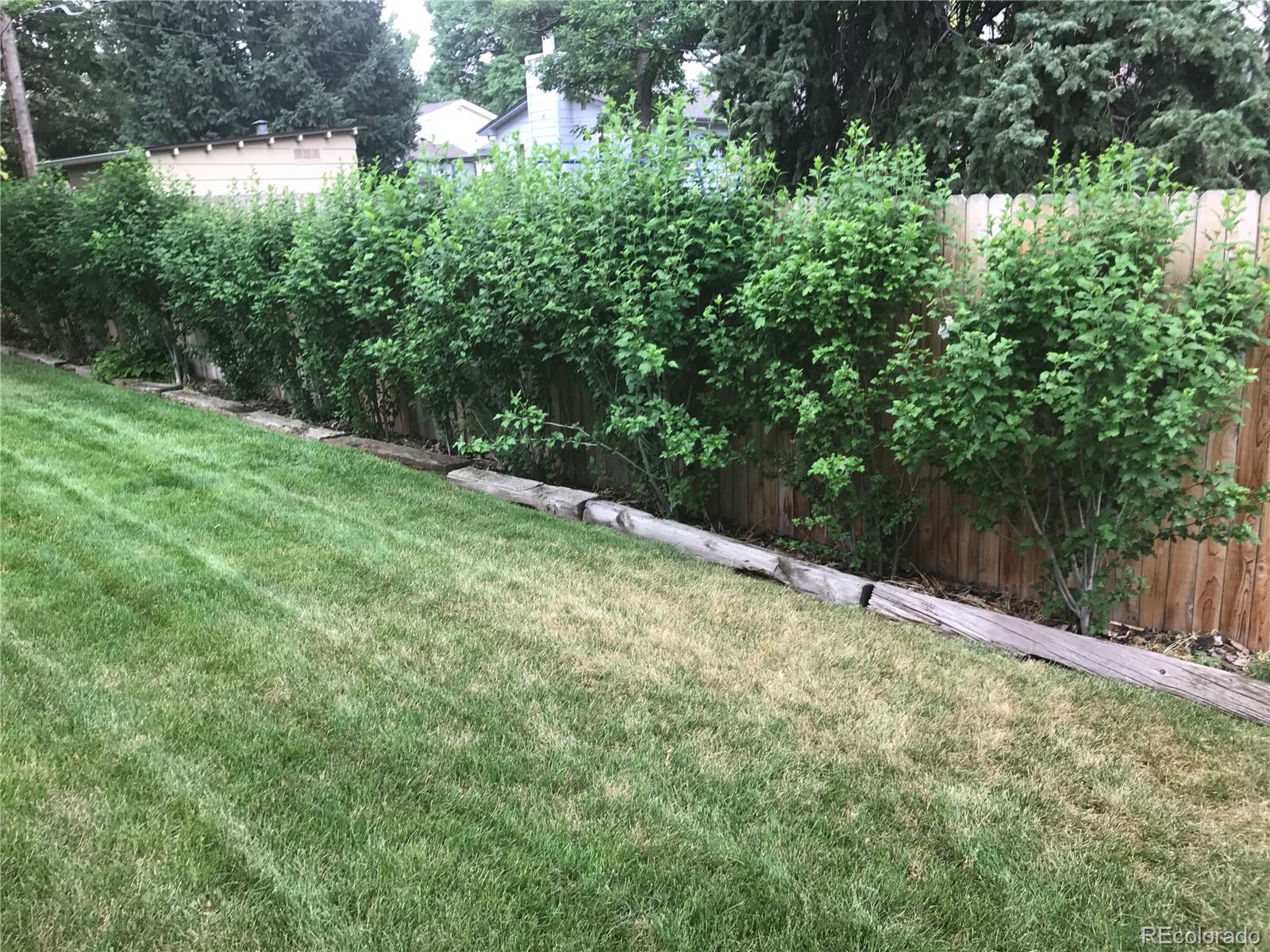 MLS Image #38 for 7539  pierce street,arvada, Colorado