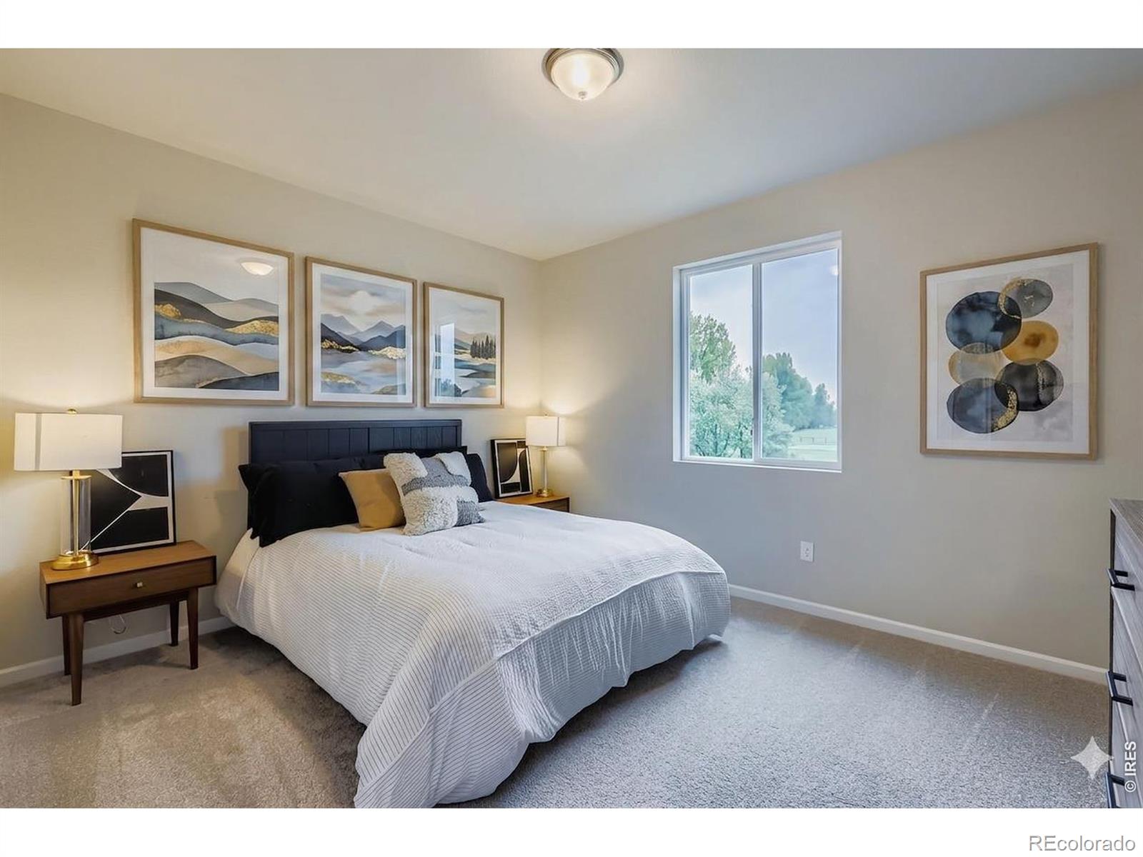MLS Image #16 for 1863  cord grass drive,fort collins, Colorado