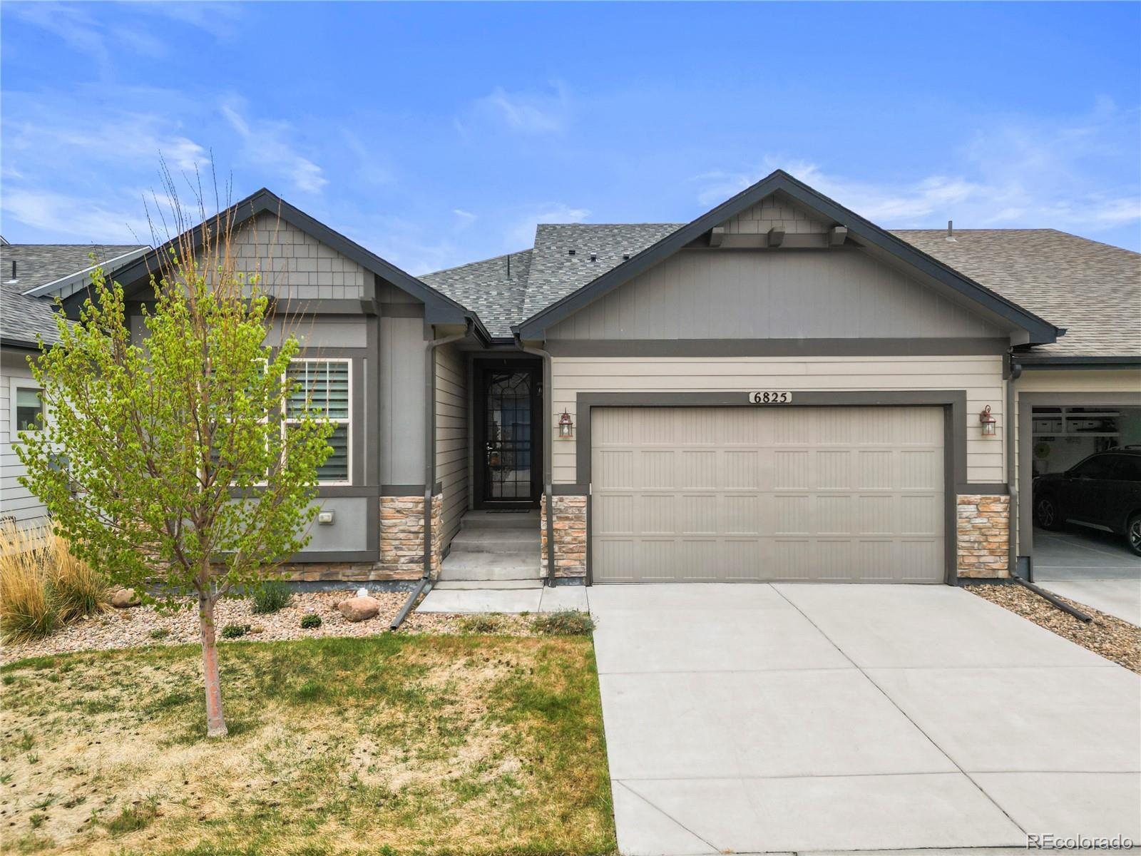 MLS Image #1 for 6825  zebra grass lane,parker, Colorado