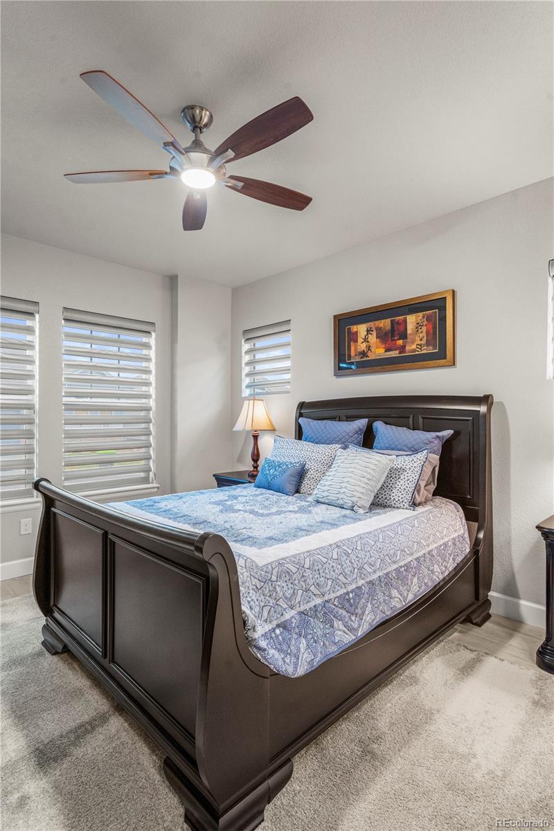 MLS Image #8 for 6825  zebra grass lane,parker, Colorado