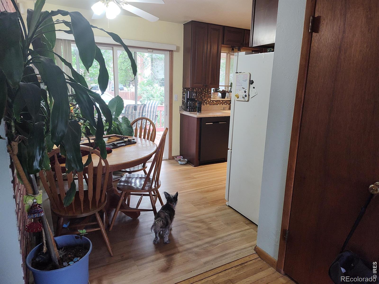 MLS Image #17 for 2  forsyth drive,longmont, Colorado
