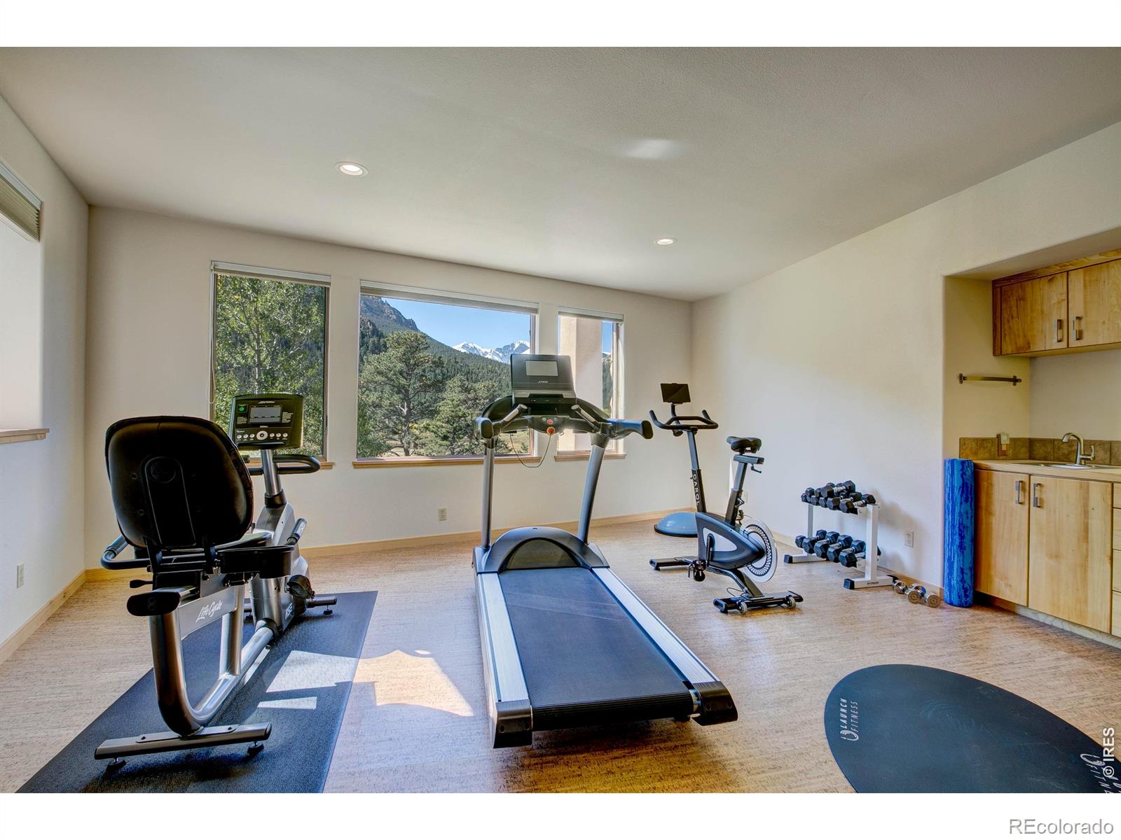 MLS Image #33 for 3495  saint francis way,estes park, Colorado