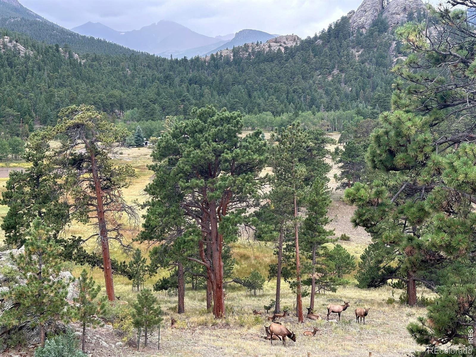 MLS Image #48 for 3495  saint francis way,estes park, Colorado