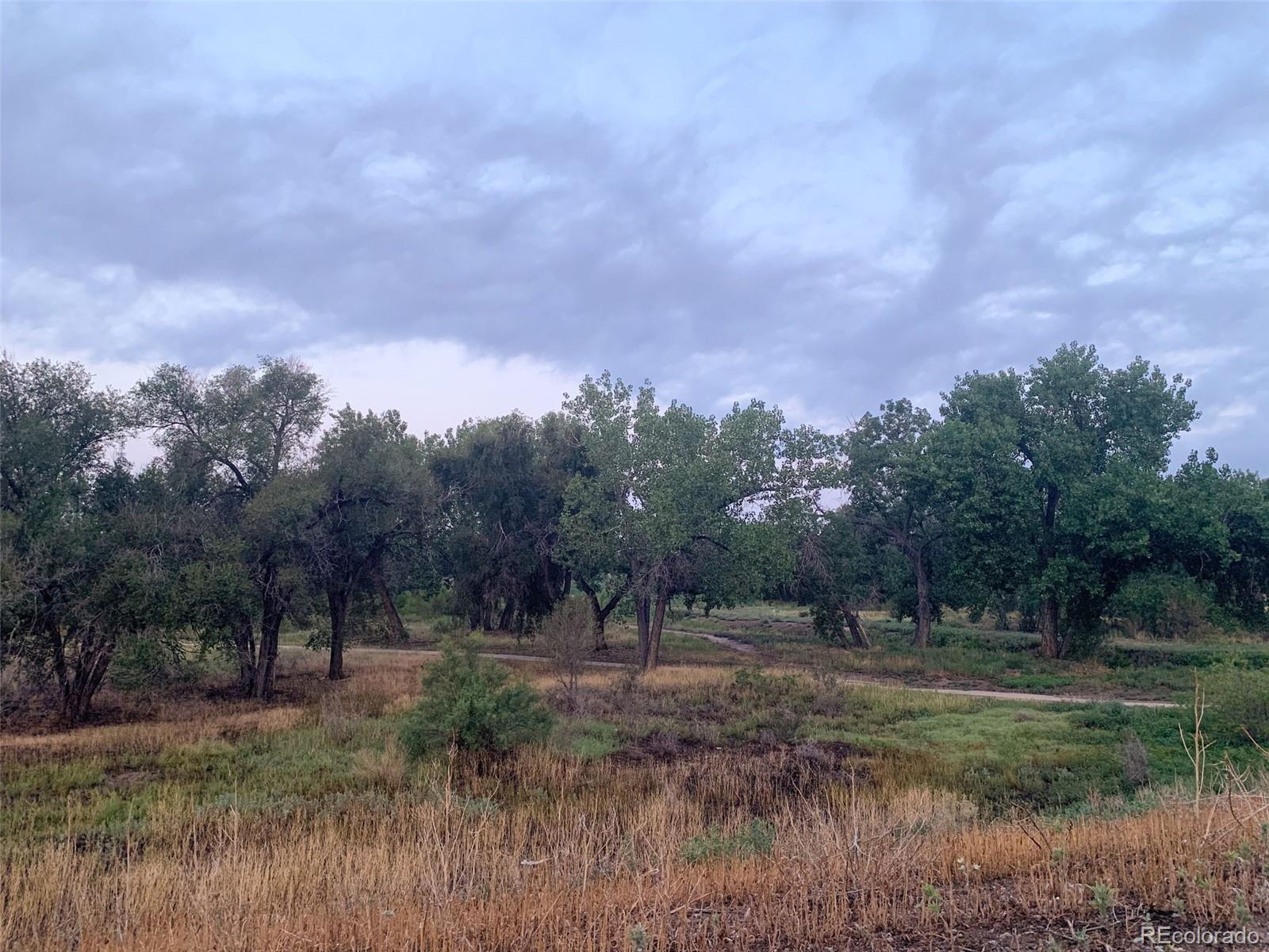 MLS Image #3 for 905  damson street,pueblo, Colorado