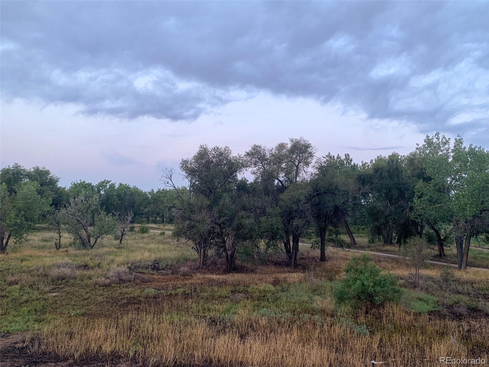 MLS Image #4 for 905  damson street,pueblo, Colorado