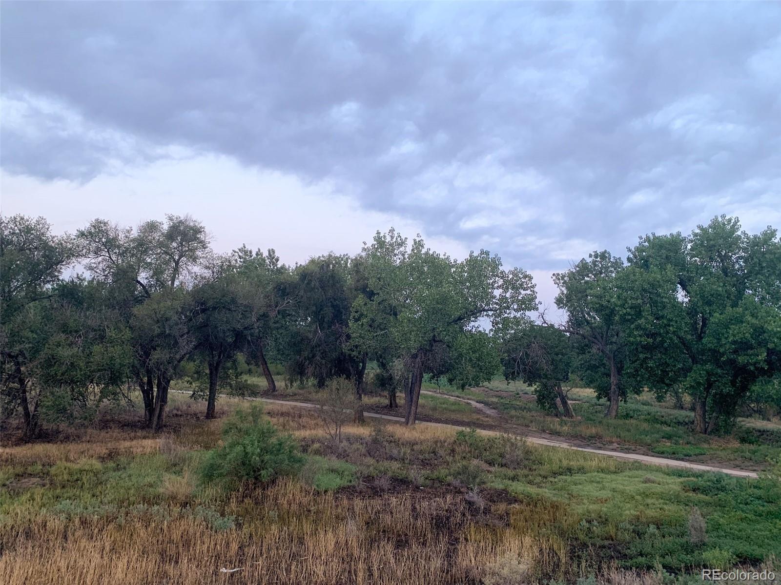 MLS Image #5 for 905  damson street,pueblo, Colorado