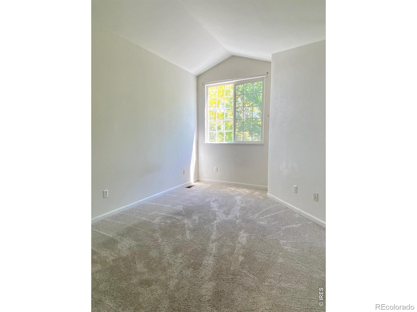 MLS Image #11 for 51  sebring lane,johnstown, Colorado