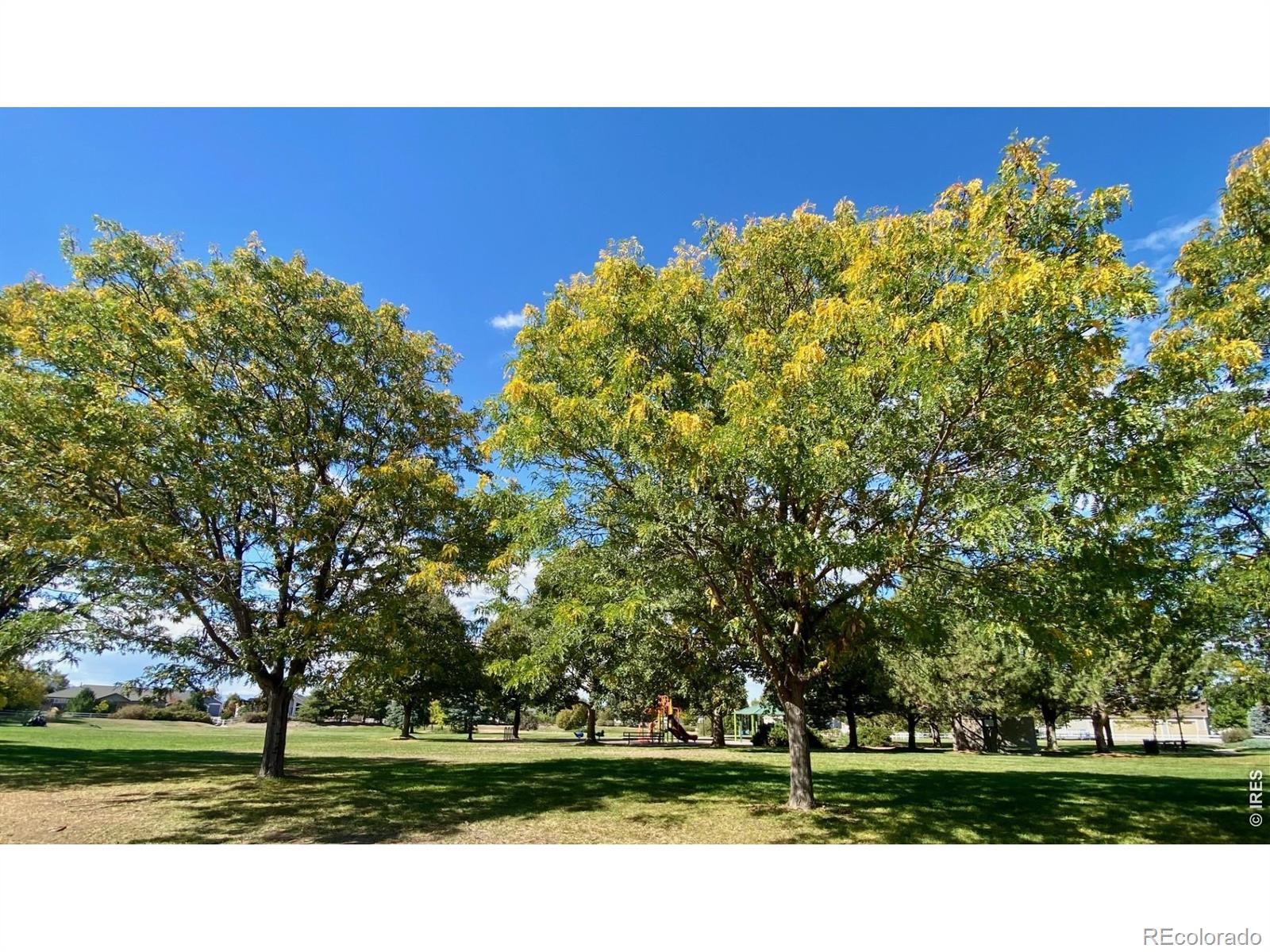MLS Image #35 for 51  sebring lane,johnstown, Colorado