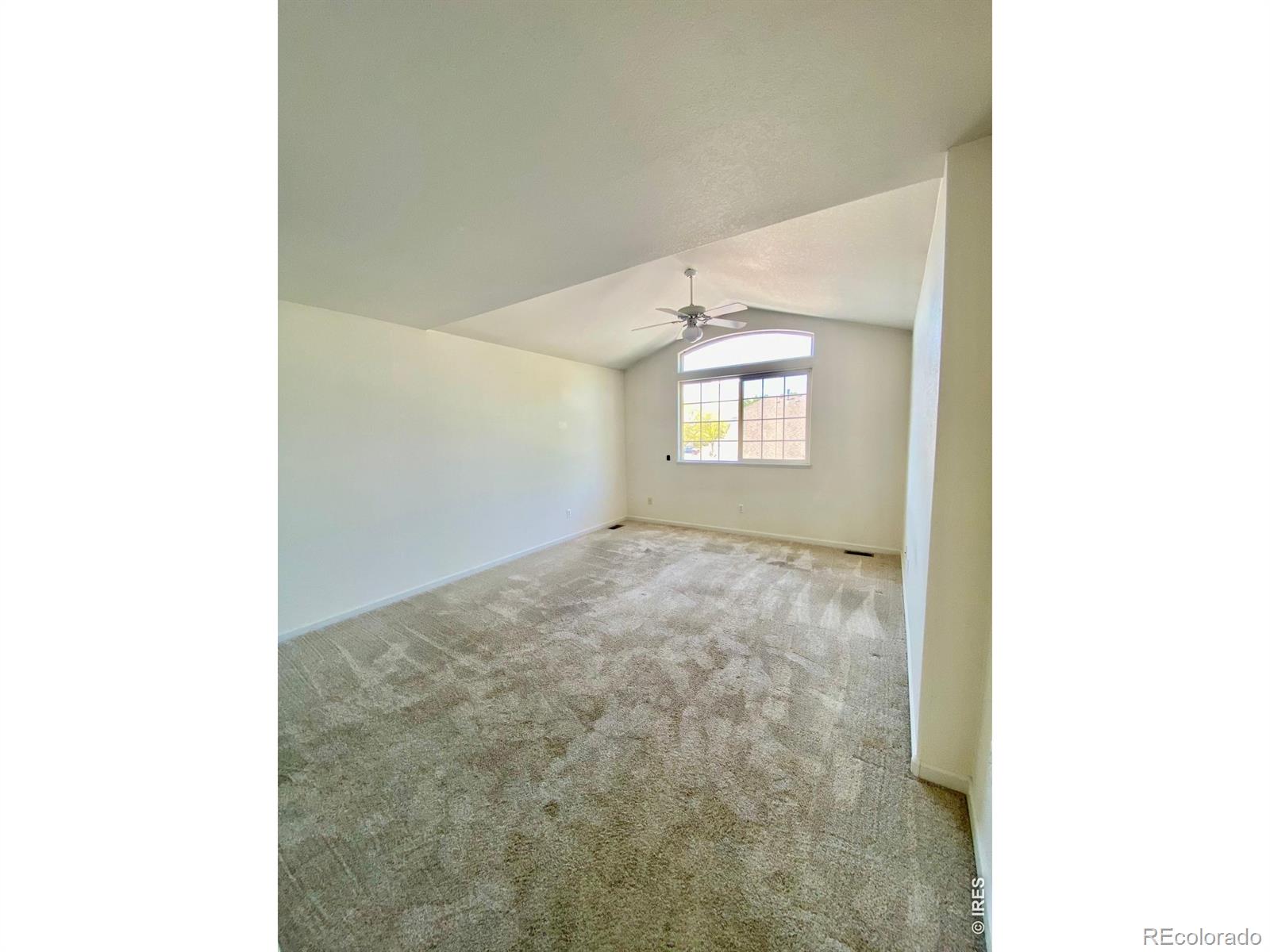 MLS Image #9 for 51  sebring lane,johnstown, Colorado
