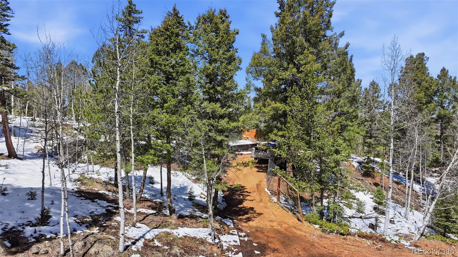 MLS Image #15 for 747  trout haven road,florissant, Colorado