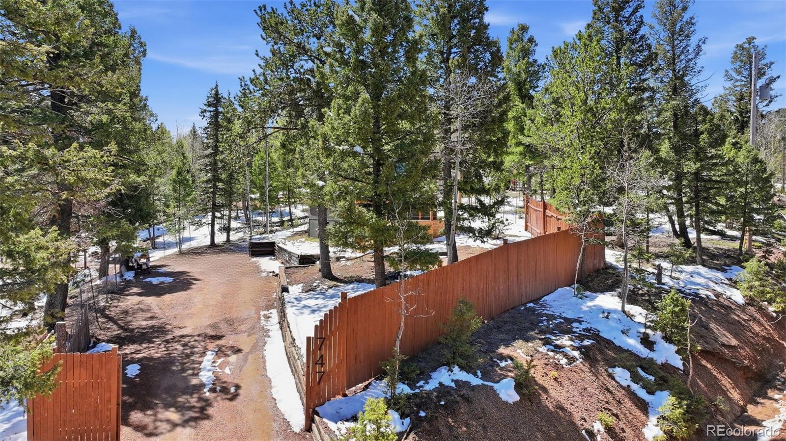MLS Image #19 for 747  trout haven road,florissant, Colorado