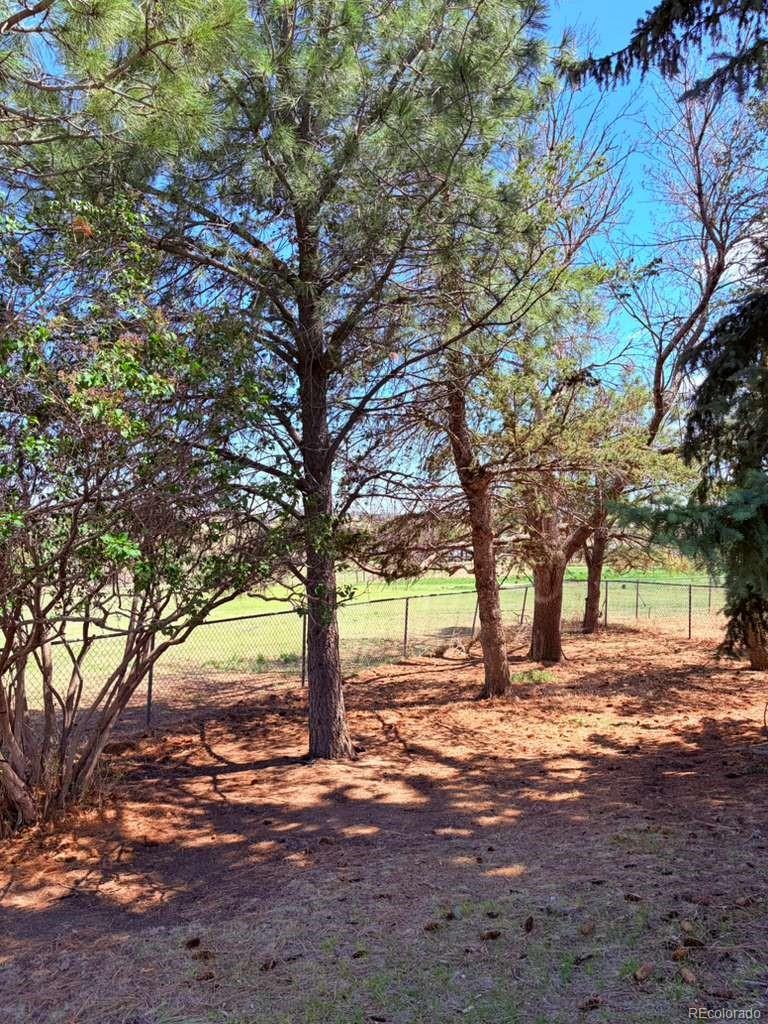 MLS Image #21 for 9270  inspiration drive,parker, Colorado