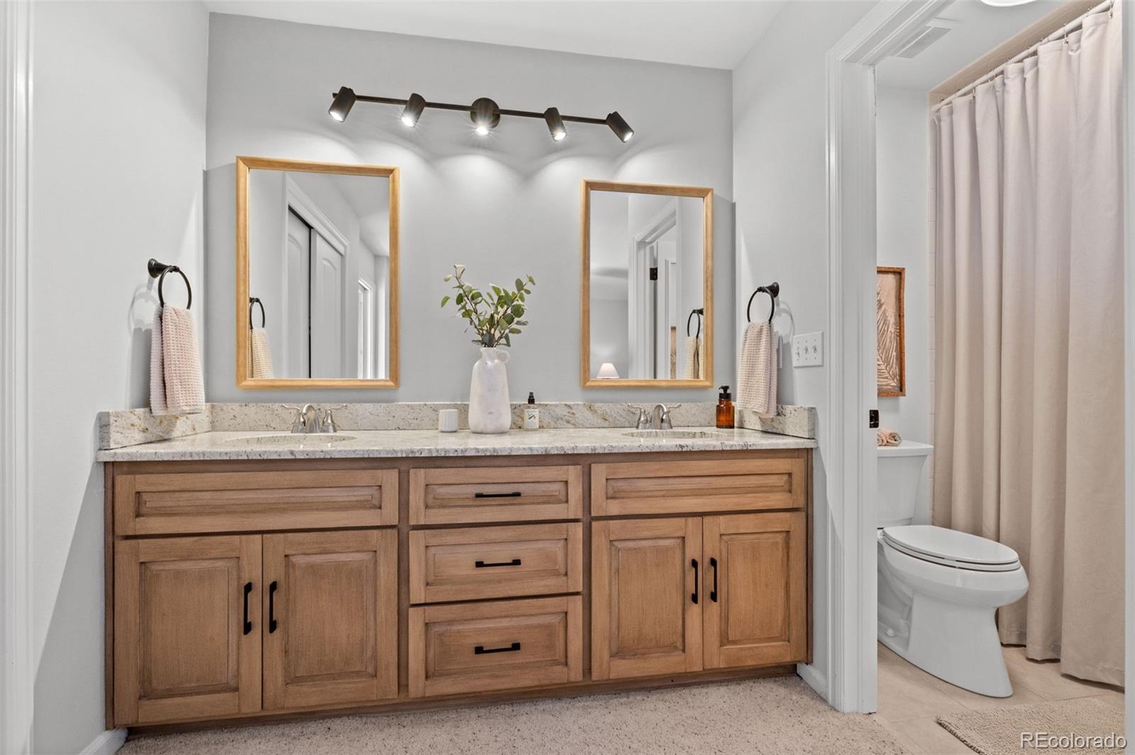 MLS Image #24 for 5955  irish pat murphy drive,parker, Colorado