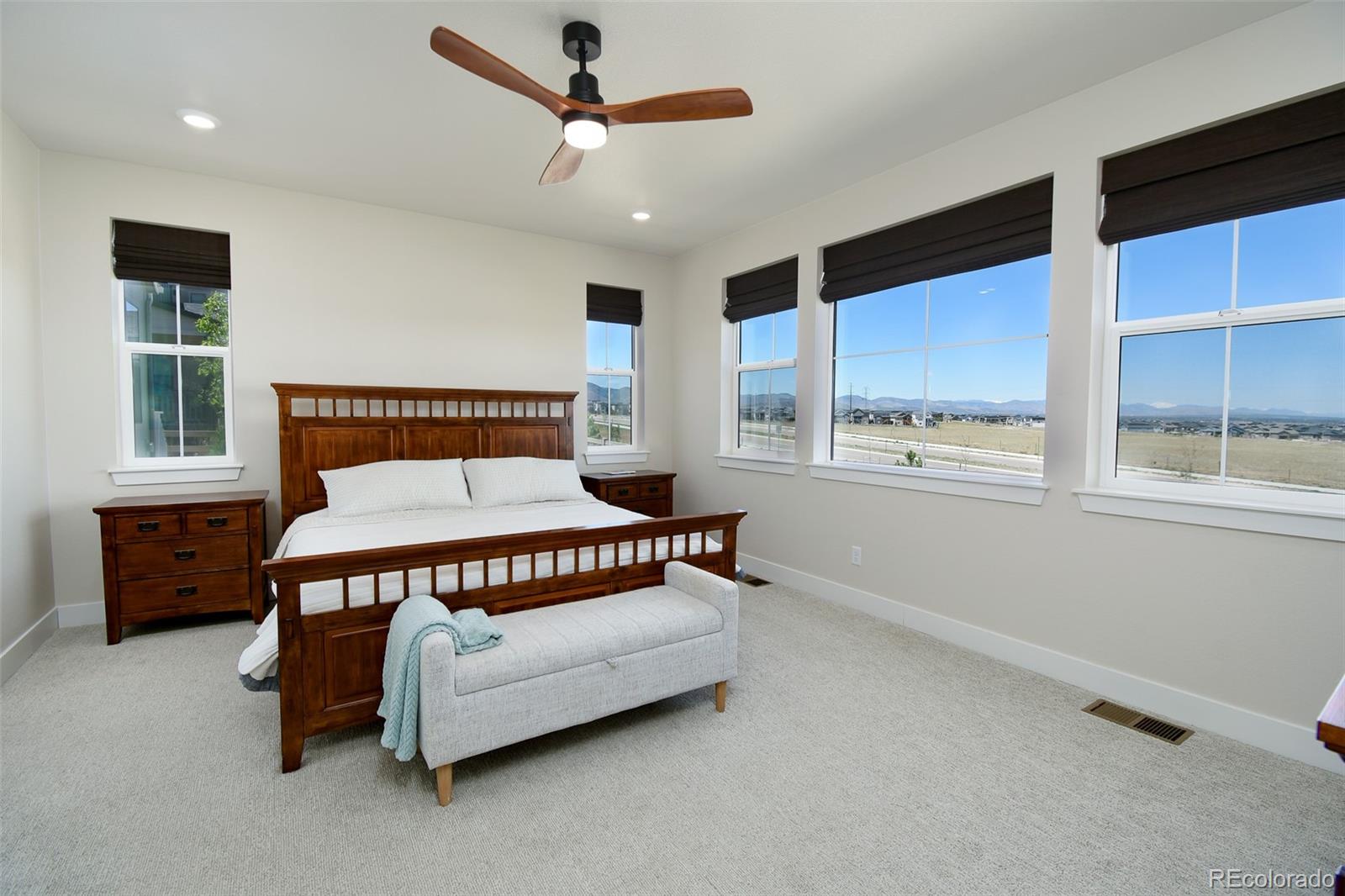 MLS Image #10 for 8930  whiteclover street,littleton, Colorado