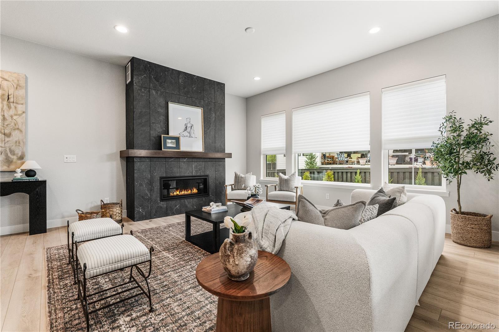 MLS Image #6 for 11472  autumn moon street,littleton, Colorado