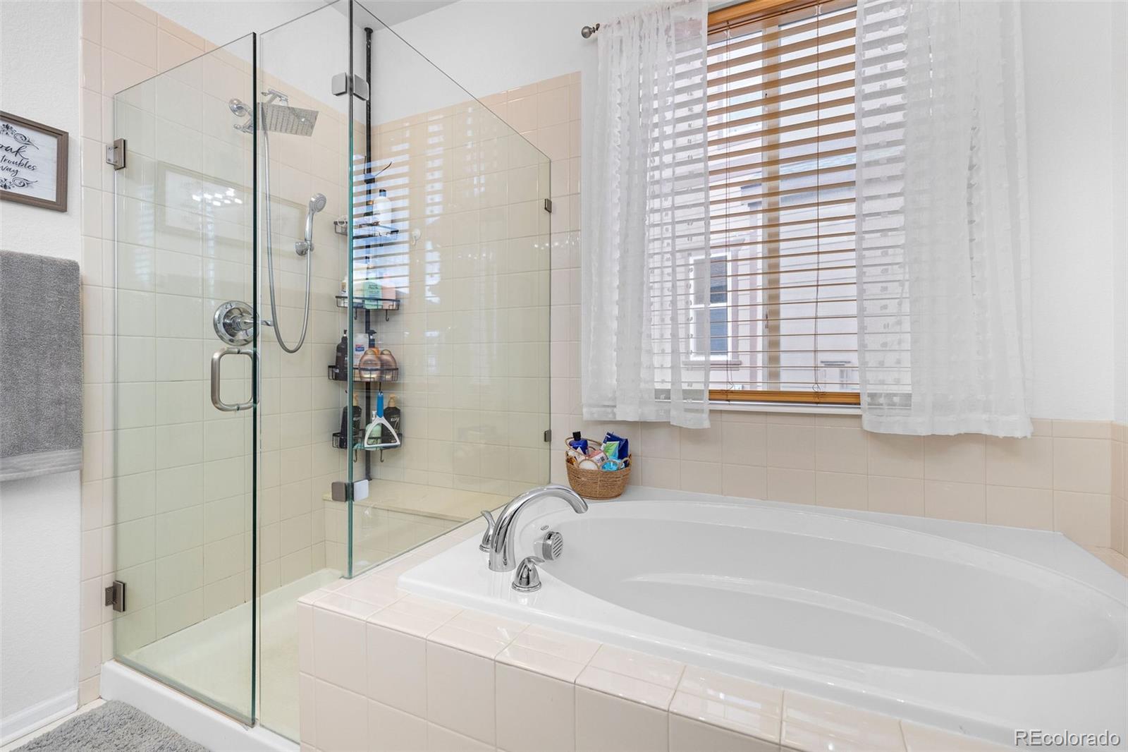 MLS Image #13 for 1013  pinecliff drive,erie, Colorado