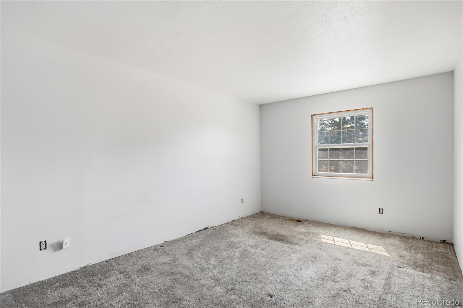 MLS Image #21 for 7123 s lewis court,littleton, Colorado