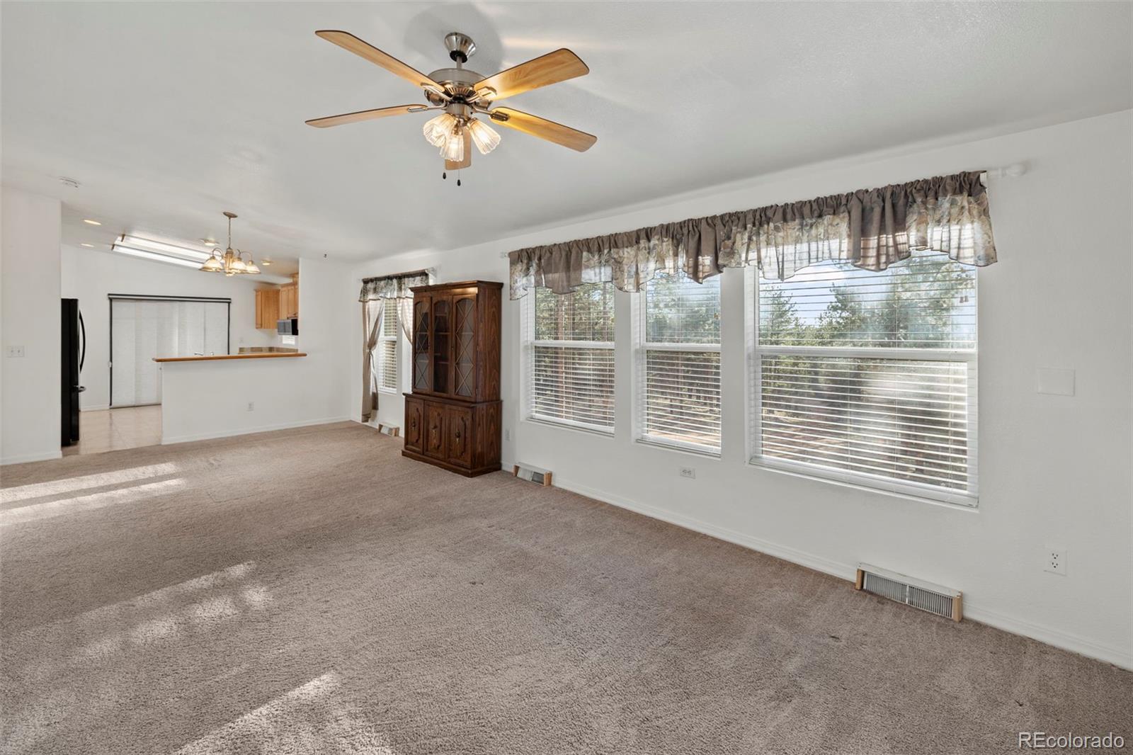 MLS Image #1 for 46  kingston circle,florissant, Colorado