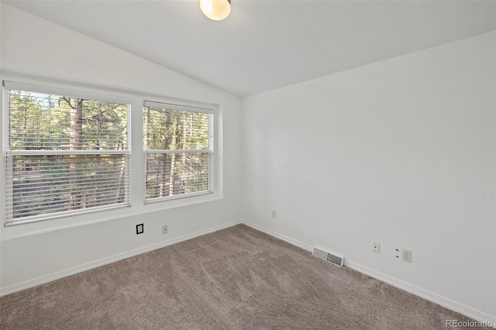 MLS Image #17 for 46  kingston circle,florissant, Colorado
