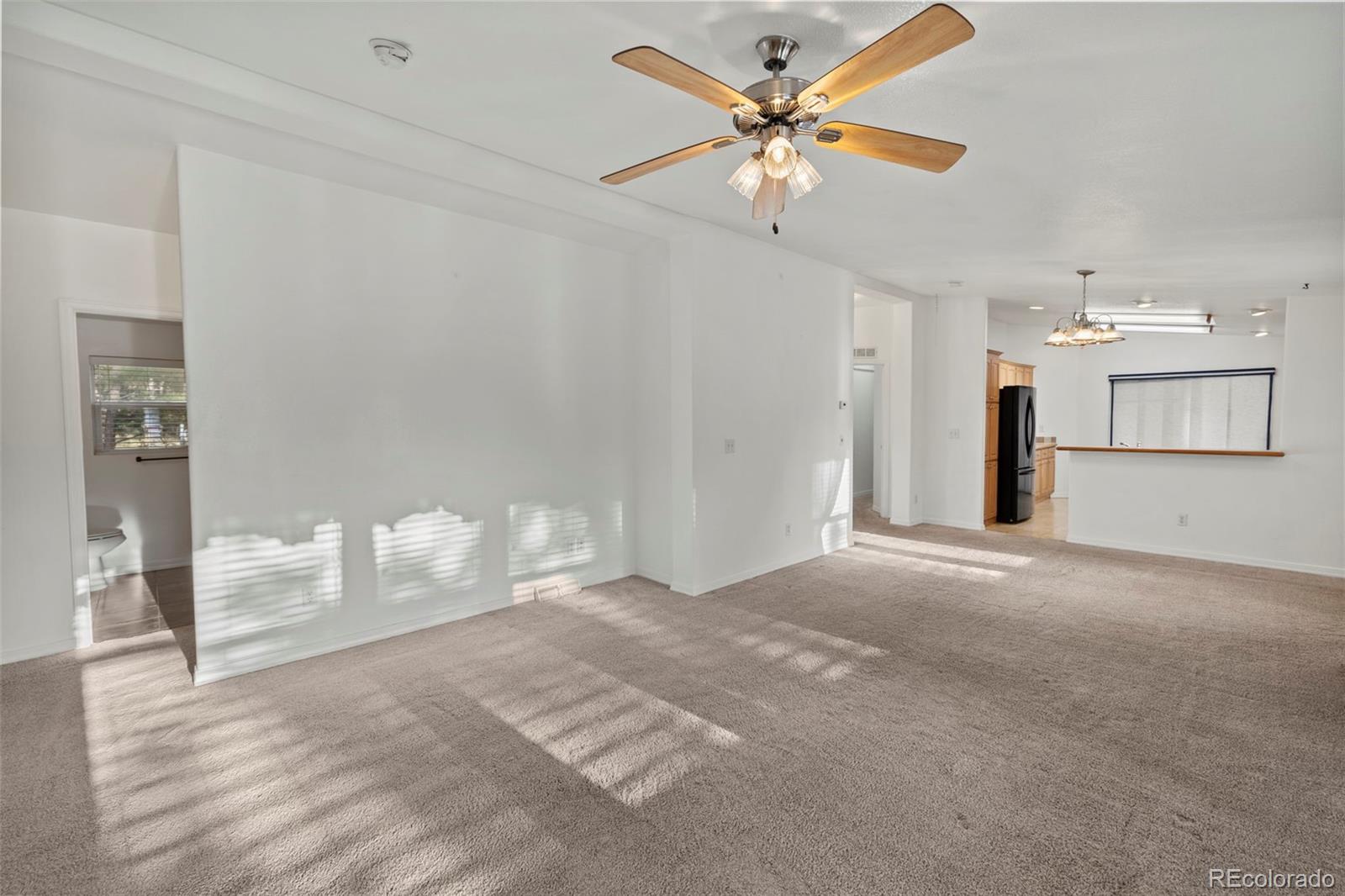 MLS Image #2 for 46  kingston circle,florissant, Colorado