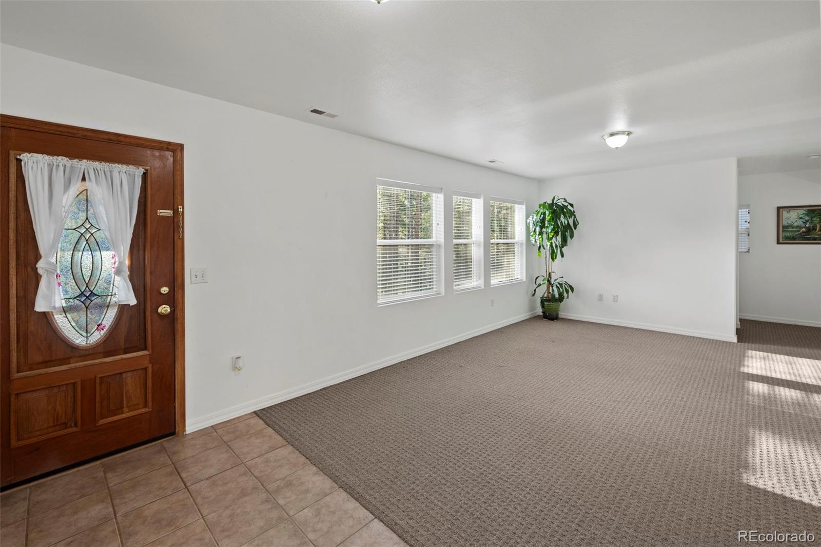 MLS Image #22 for 46  kingston circle,florissant, Colorado