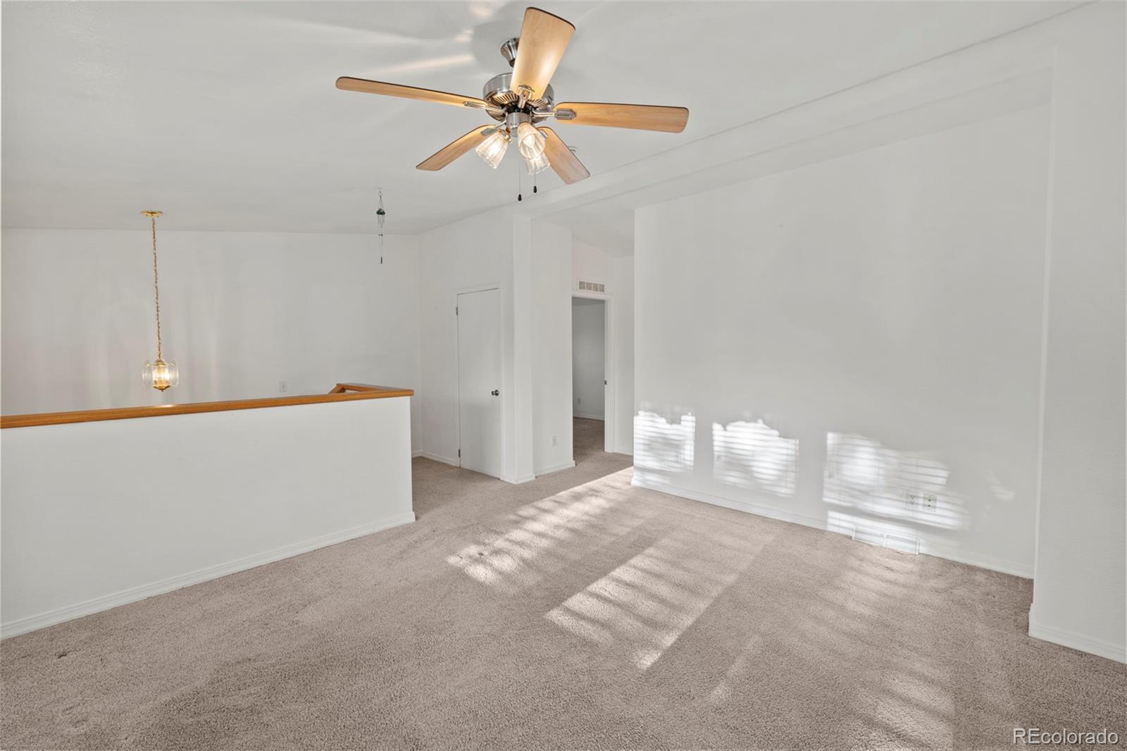 MLS Image #3 for 46  kingston circle,florissant, Colorado