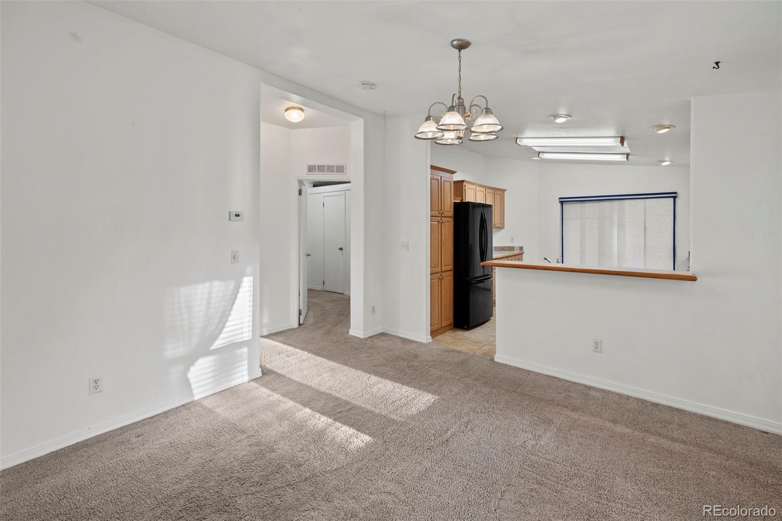 MLS Image #5 for 46  kingston circle,florissant, Colorado