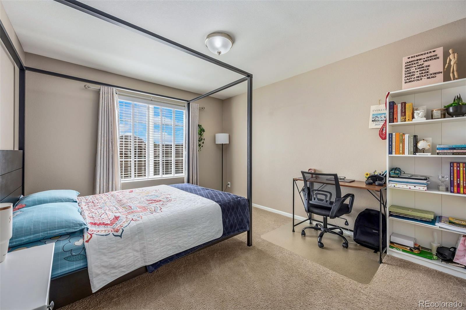MLS Image #21 for 6230  blue water circle,castle rock, Colorado
