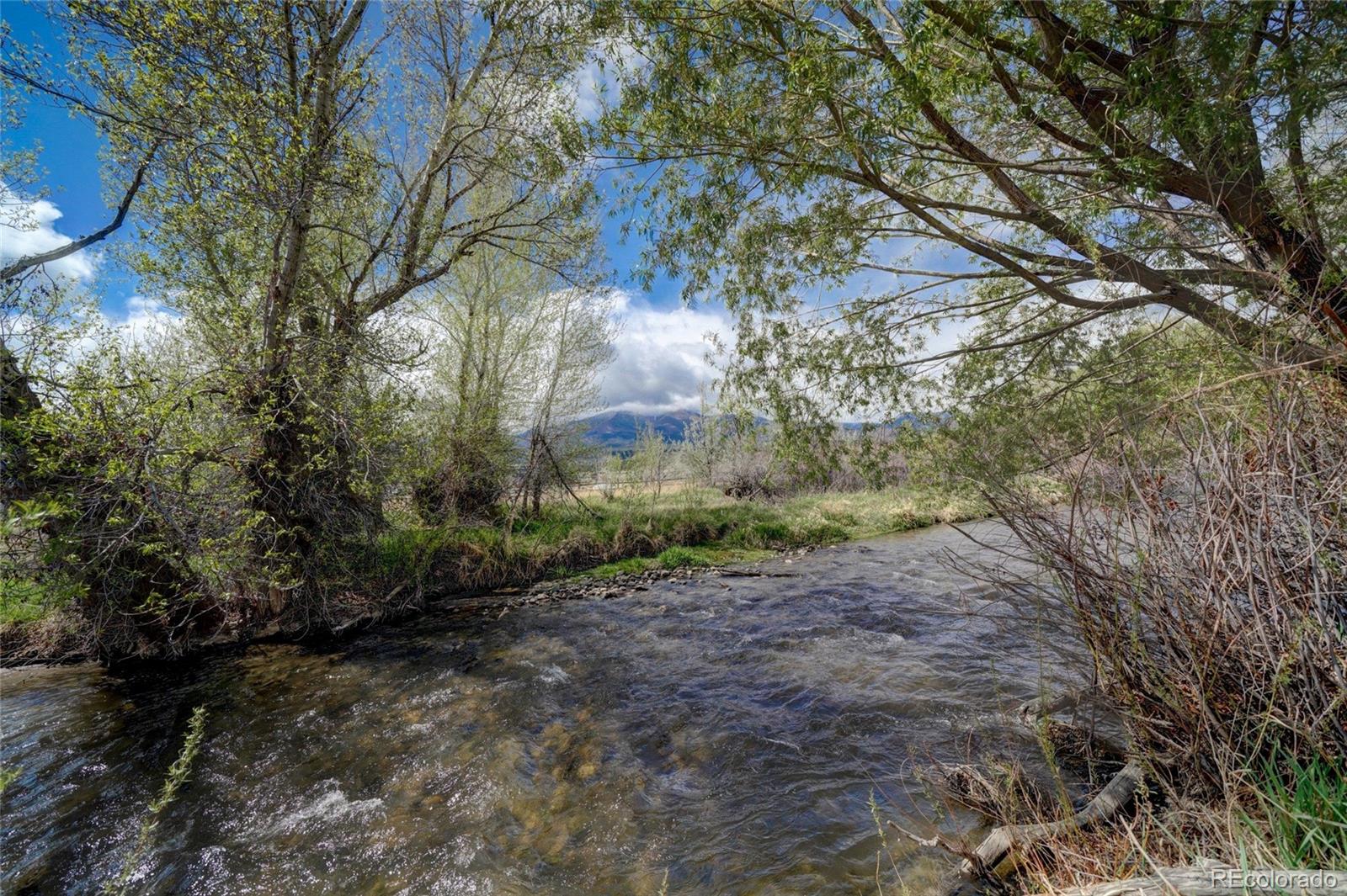 MLS Image #4 for 219  two rivers road,salida, Colorado