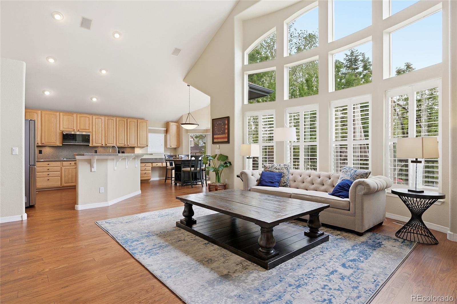 MLS Image #15 for 8502 s miller court,littleton, Colorado