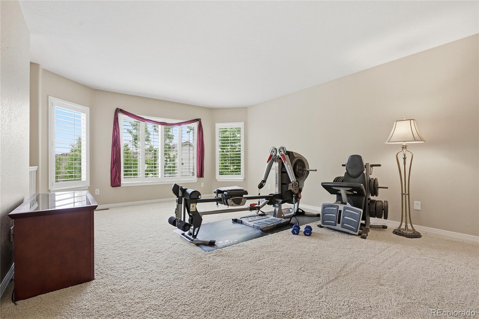 MLS Image #35 for 8502 s miller court,littleton, Colorado
