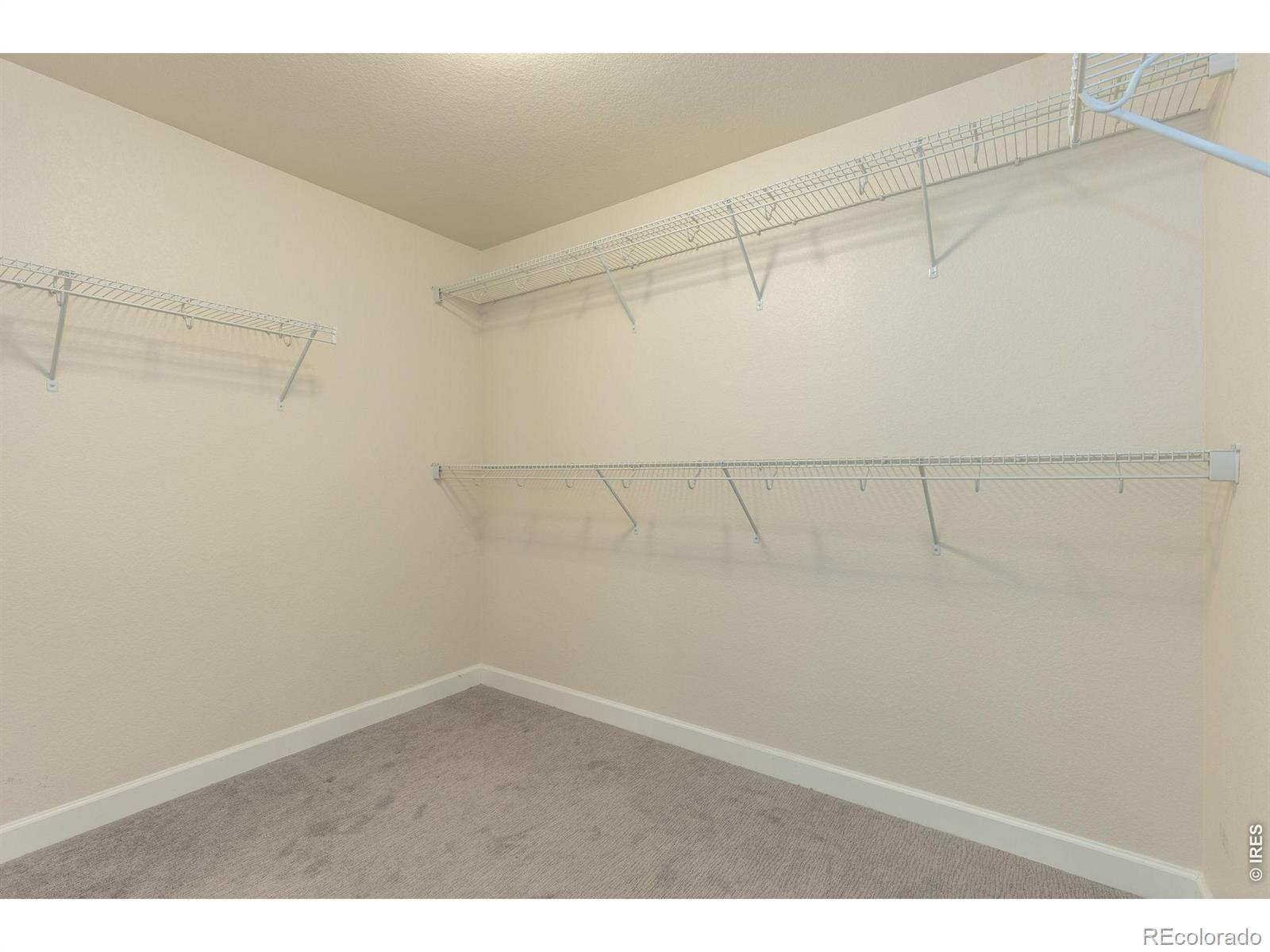 MLS Image #18 for 286  western sky circle,longmont, Colorado