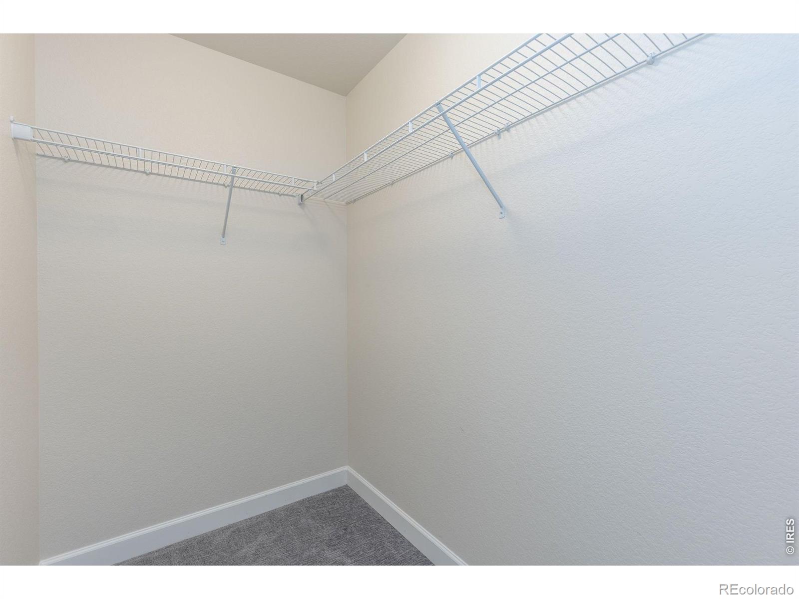 MLS Image #23 for 286  western sky circle,longmont, Colorado