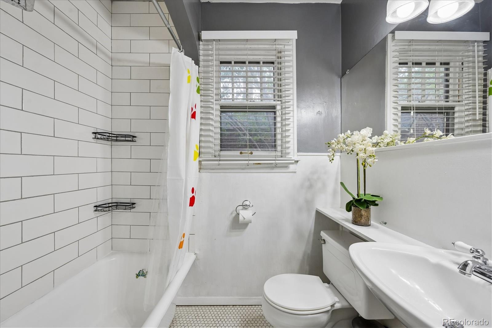 MLS Image #11 for 1400  elm street,denver, Colorado
