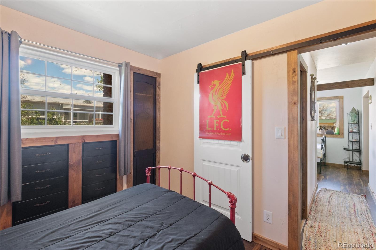 MLS Image #11 for 607  navajo avenue,simla, Colorado