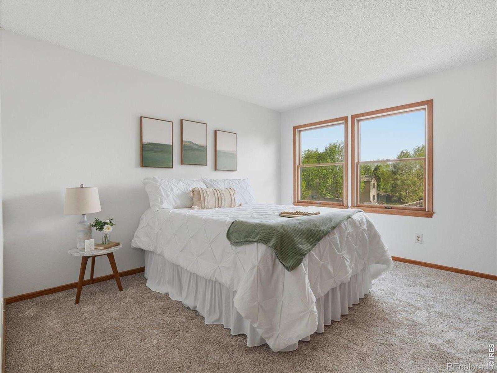 MLS Image #13 for 244 e 42nd street,loveland, Colorado