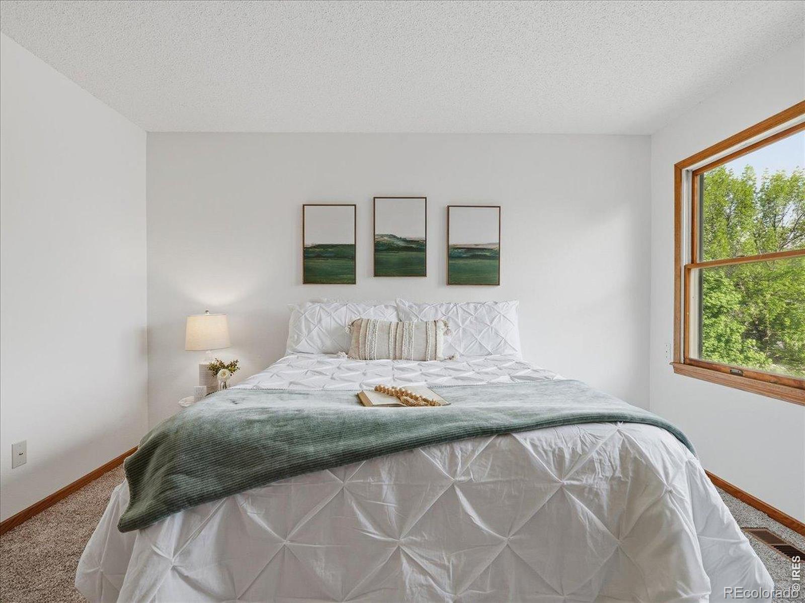 MLS Image #15 for 244 e 42nd street,loveland, Colorado