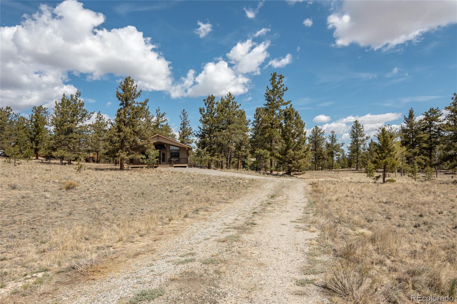 MLS Image #12 for 75  whip way,hartsel, Colorado