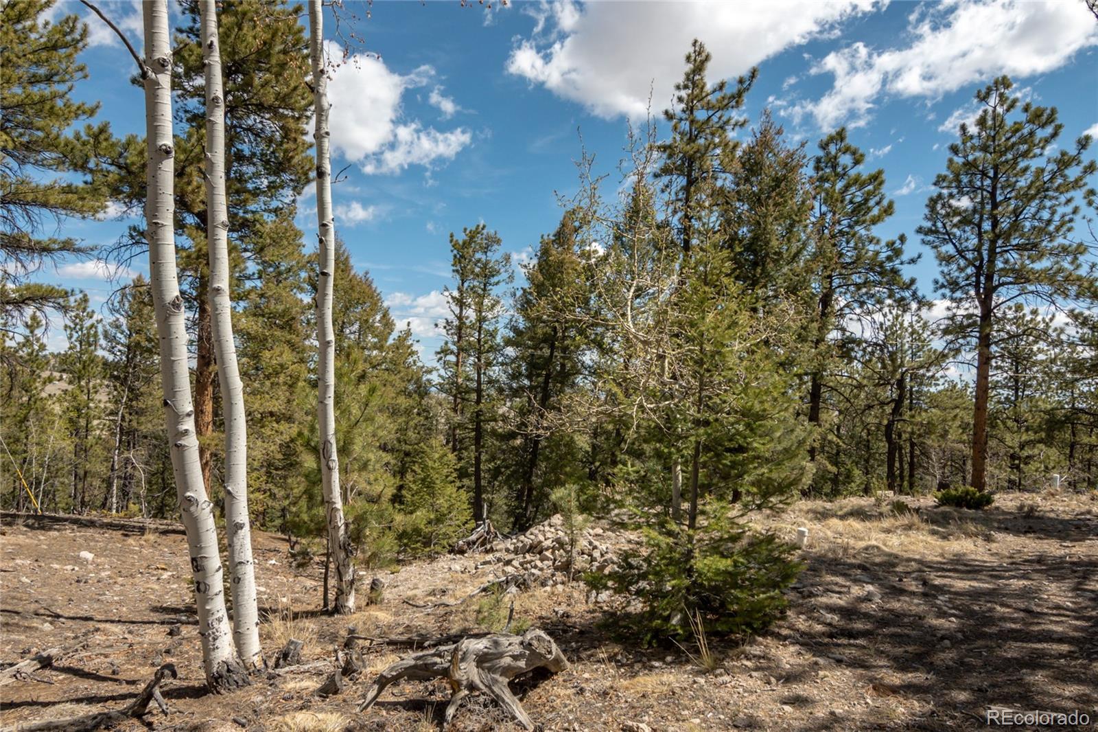 MLS Image #39 for 75  whip way,hartsel, Colorado
