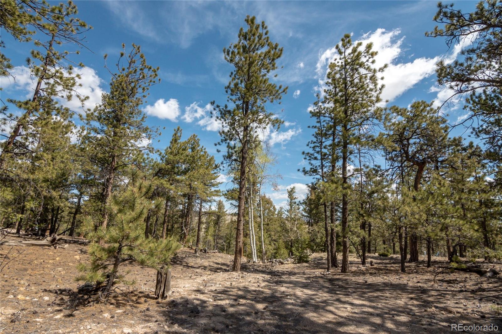 MLS Image #4 for 75  whip way,hartsel, Colorado