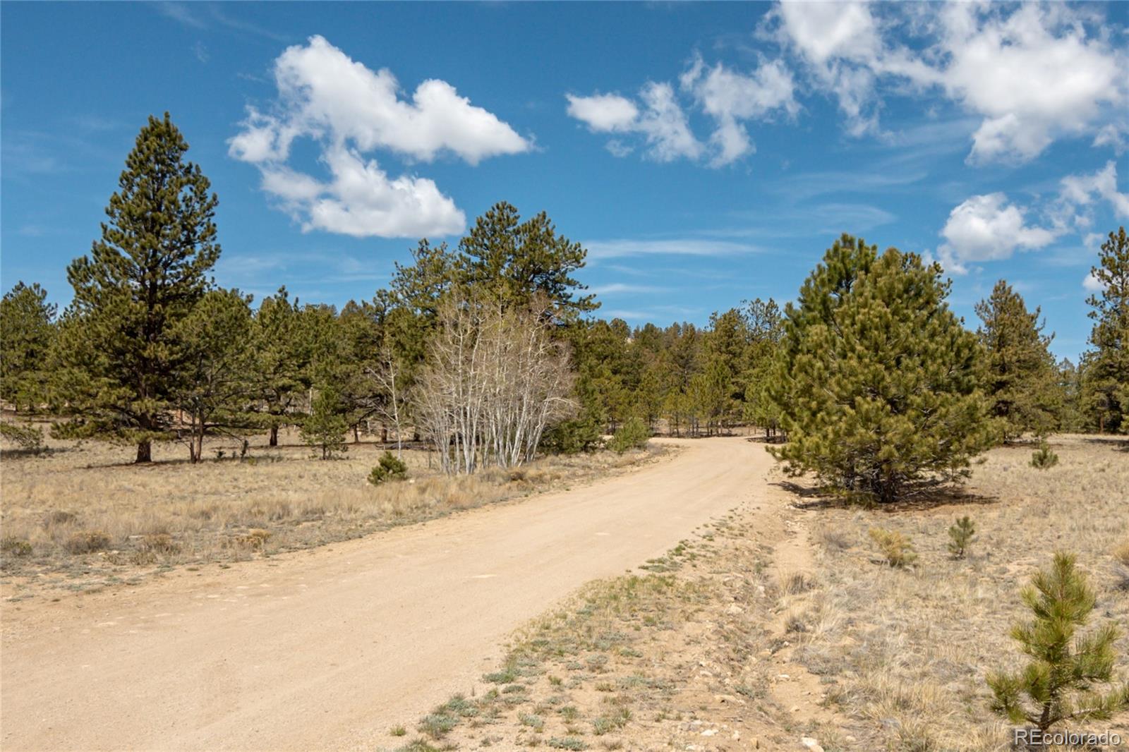 MLS Image #41 for 75  whip way,hartsel, Colorado
