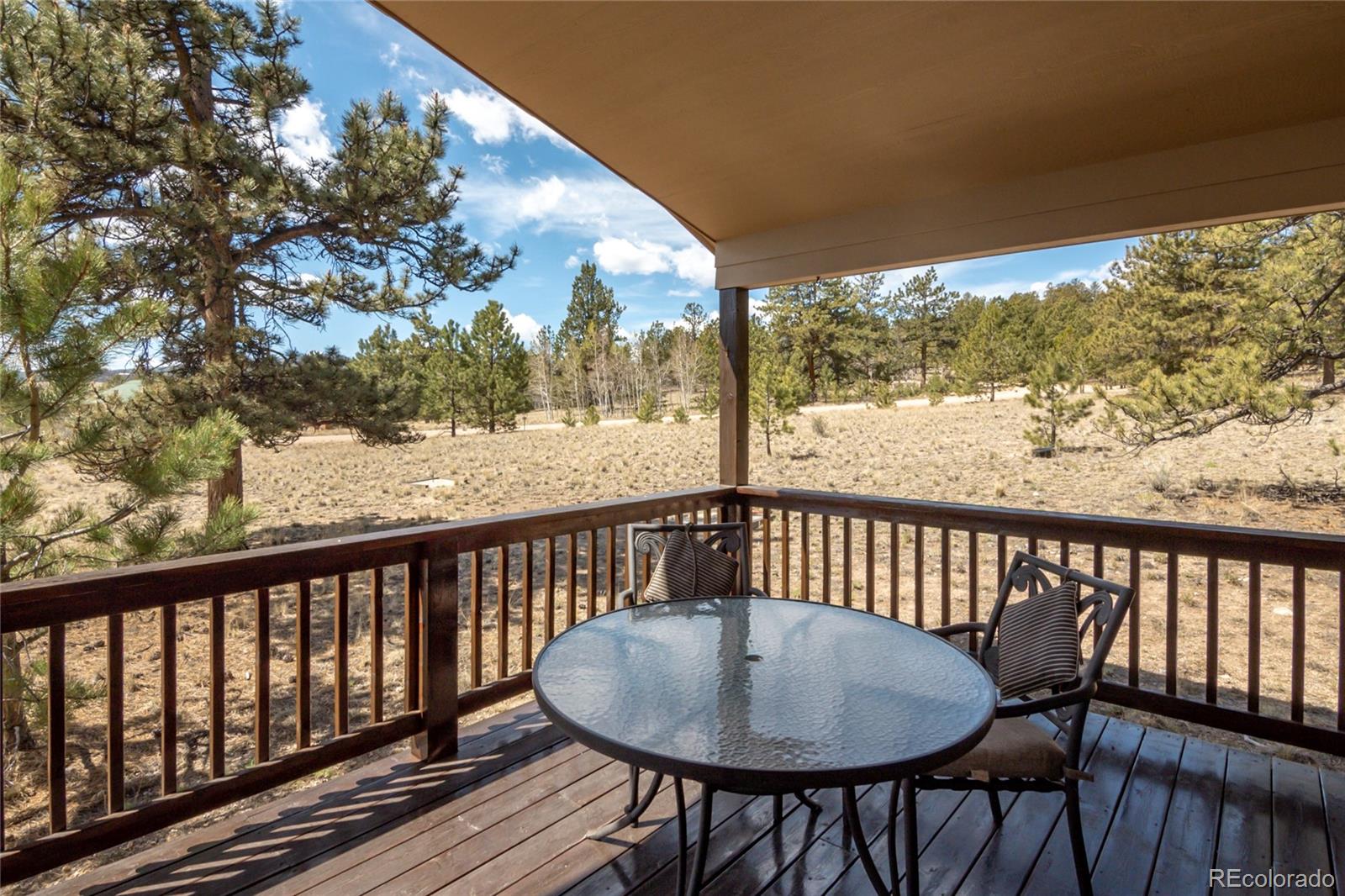 MLS Image #6 for 75  whip way,hartsel, Colorado