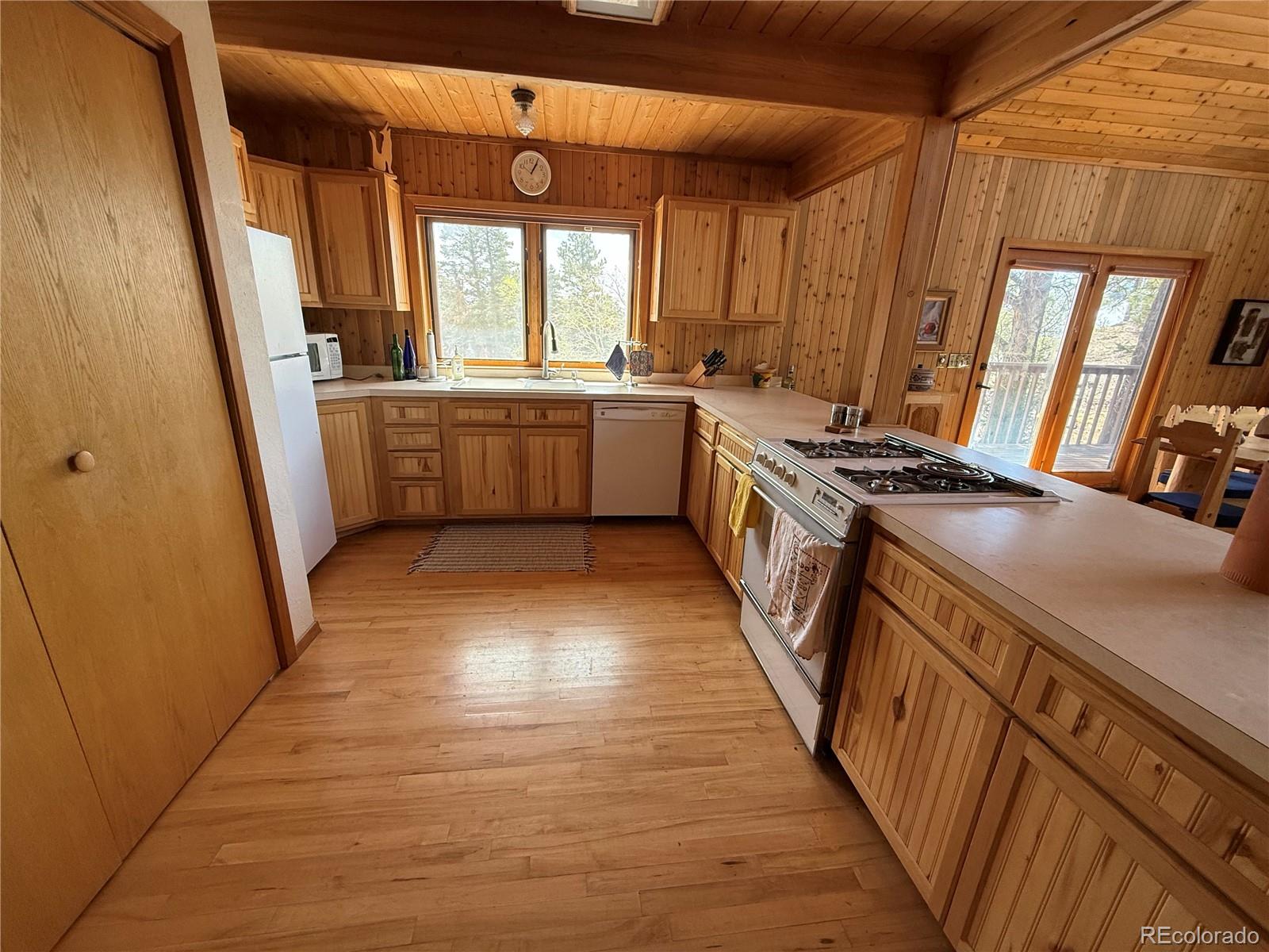 MLS Image #17 for 153  tahmoush lane,fort garland, Colorado