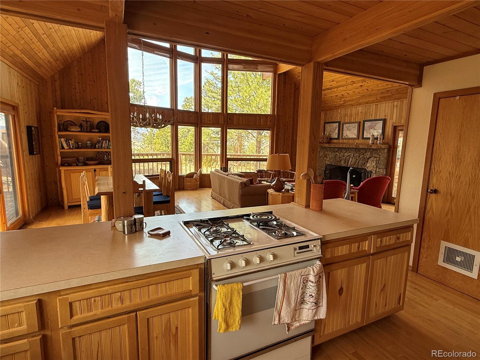MLS Image #22 for 153  tahmoush lane,fort garland, Colorado